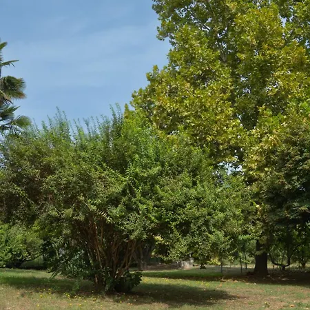 Nikola's Garden Διαμέρισμα Rizochorion